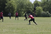 OTFL Gallery Image